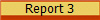 Report 3