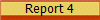 Report 4