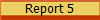 Report 5
