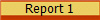 Report 1