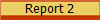 Report 2