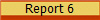 Report 6