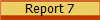 Report 7