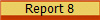 Report 8