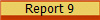 Report 9
