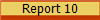 Report 10